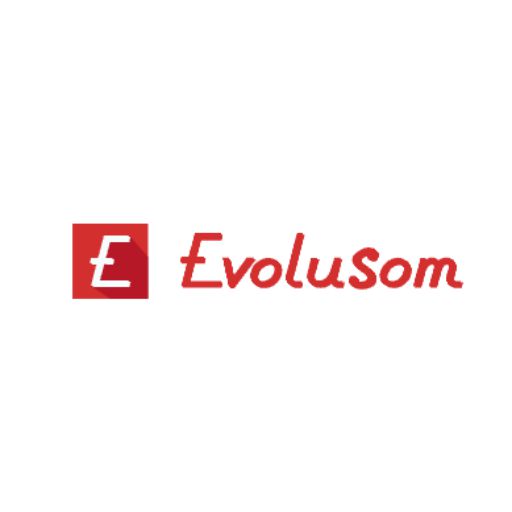 Logo de Evolusom Informática